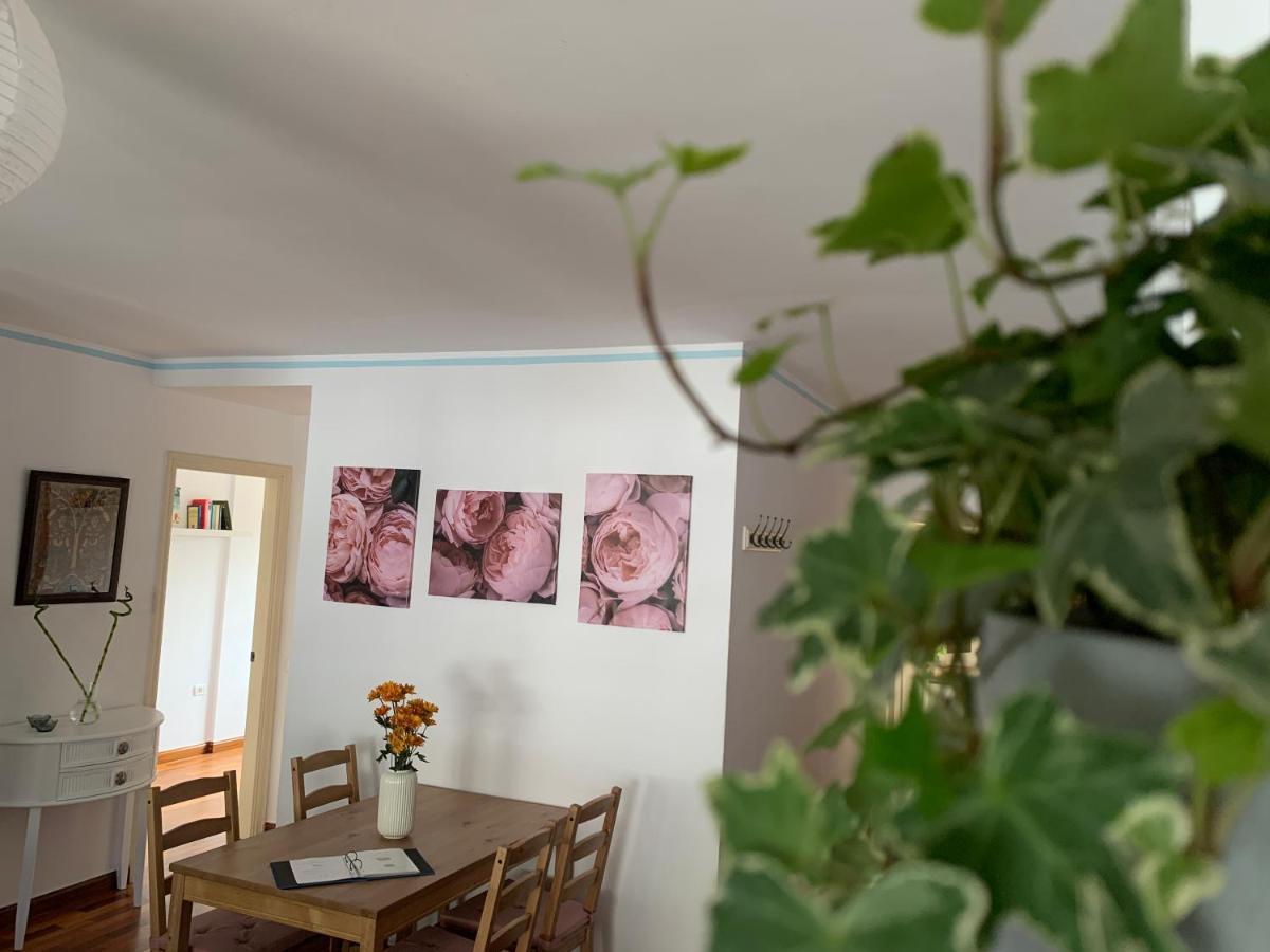 La Casita De Mi Alma - Das Haus Meiner Seele Tegueste Exteriér fotografie